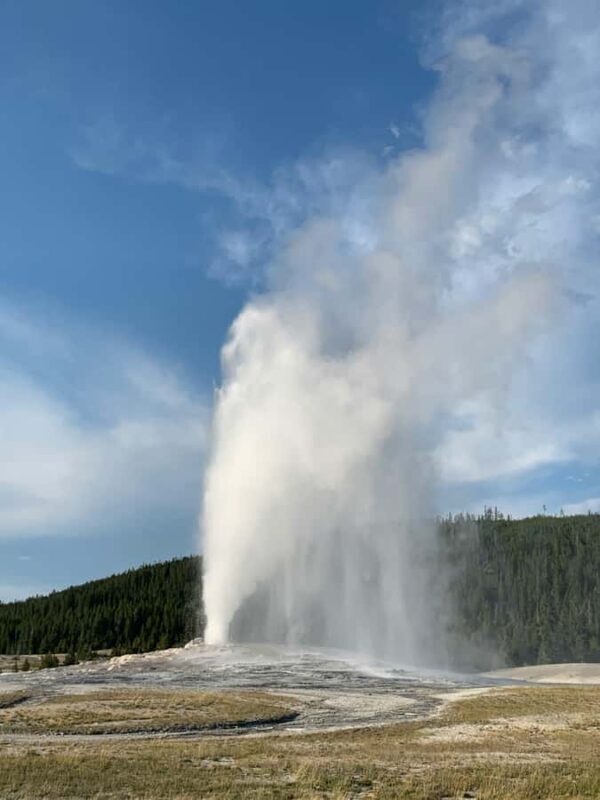 Yellowstone: Full-Day Private Guided Tour with Picnic Lunch - A Detailed Look at the Yellowstone Private Guided Tour