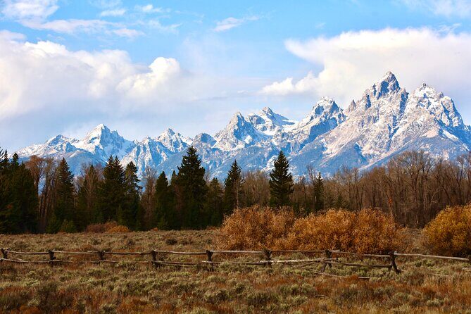 Yellowstone Full Day Tours - Final Thoughts