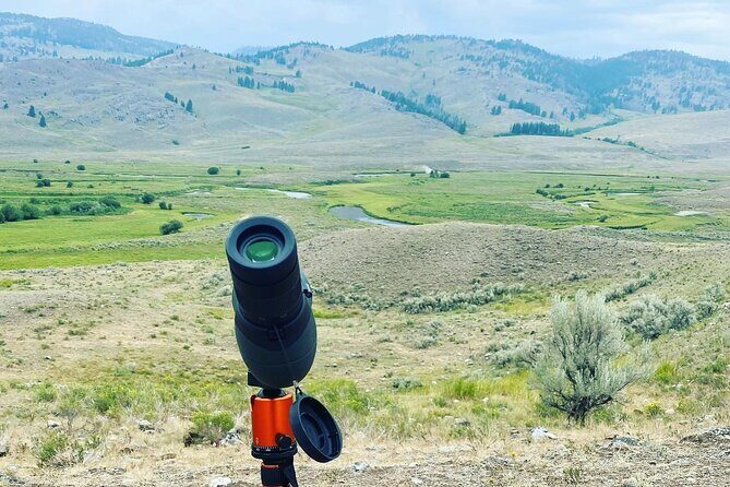 Yellowstone Full-Day Upper Loop with Wildlife Adventure w/Lunch - Pricing and Value