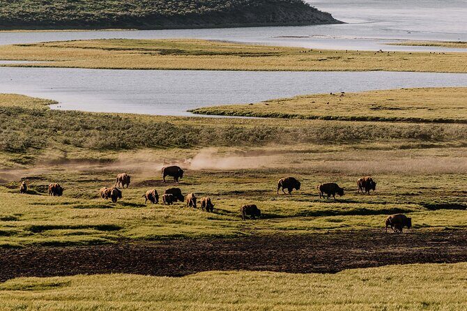 Yellowstone Grand Loop Ultimate Self-Guided Driving Tour - The Sum Up