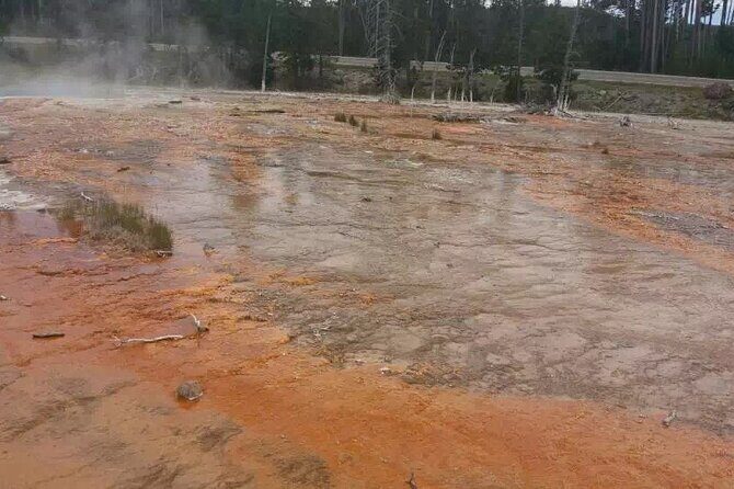 Yellowstone Grand Teton and Coeur dAlene 5-Day Tour from Seattle - Key Points