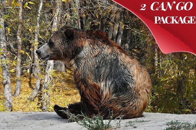 Yellowstone, Grand Teton, and Hot Springs: Small Group 5-Day Tour - Key Points