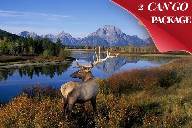 Yellowstone, Grand Teton, and Hot Springs: Small Group 5-Day Tour - Authentic Experiences and Authentic Guides