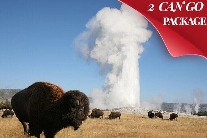 Yellowstone & Grand Teton National Parks: Small Group 4-Day Tour - Key Points