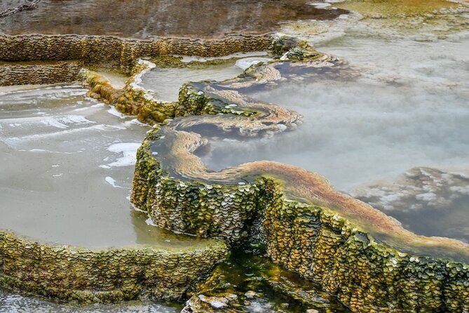 Yellowstone & Grand Teton National Parks: Small Group 4-Day Tour - Frequently Asked Questions