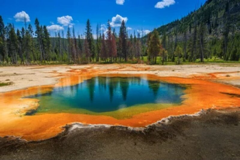 Yellowstone & Grand Tetons: 4-Day/3-Night Wildlife Adventure - What the Tour Covers