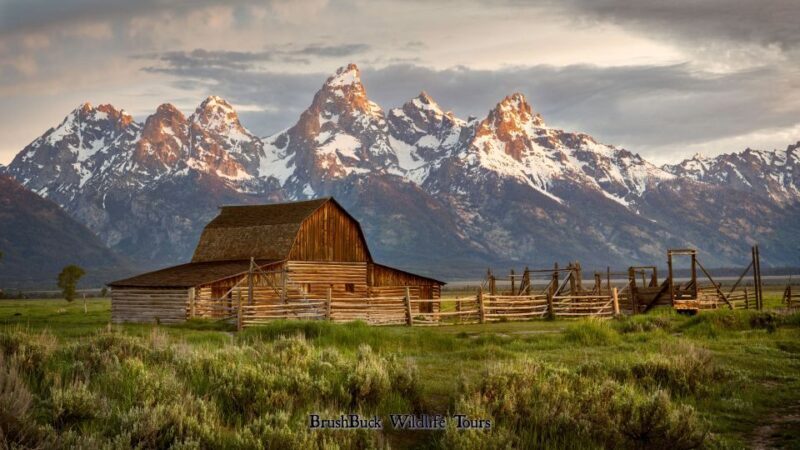 Yellowstone & Grand Tetons: 4-Day/3-Night Wildlife Adventure - The Experience from Travelers’ Perspectives