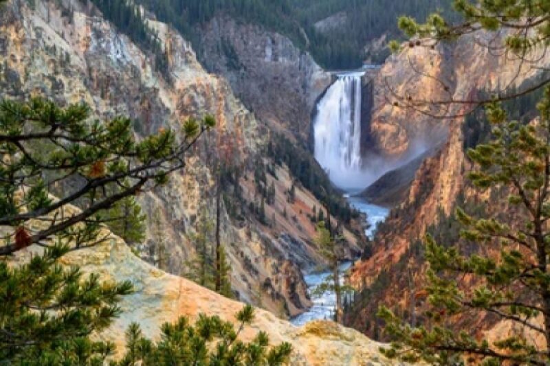 Yellowstone & Grand Tetons: 4-Day/3-Night Wildlife Adventure - Final Thoughts