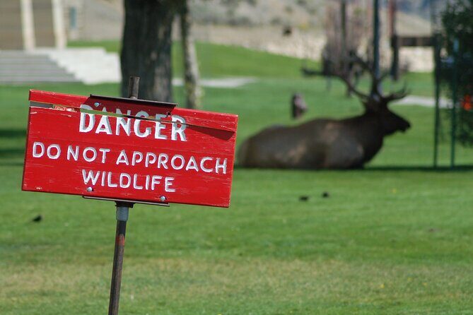 Yellowstone Grand Tour: See All Yellowstone In One Day - Yellowstone Grand Tour: See All Yellowstone In One Day