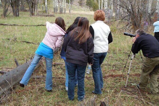 Yellowstone Grand Tour: See All Yellowstone In One Day - FAQ