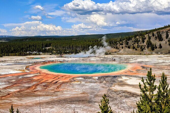 Yellowstone in a Day Private Guided Tour - Exploring the Details of the Yellowstone in a Day Private Tour