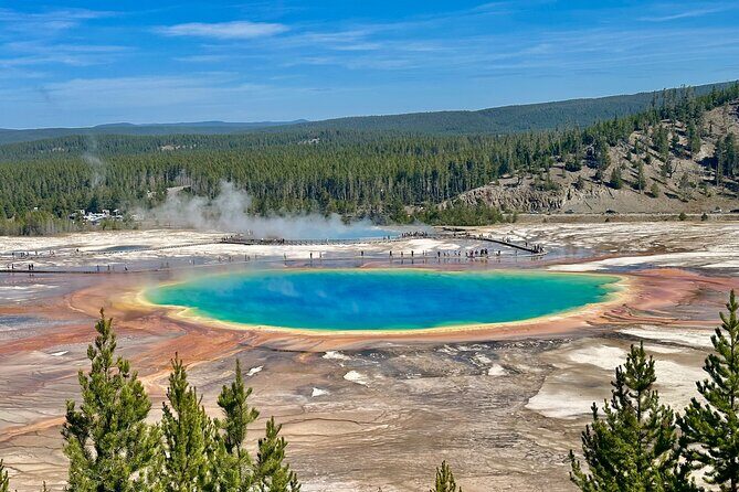 Yellowstone Lower Loop Full-Day Tour - Experience the Yellowstone Lower Loop with an Expert Guide