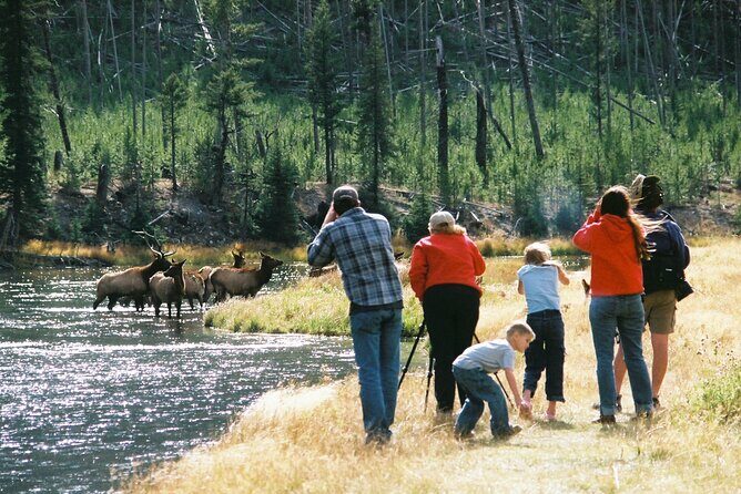 Yellowstone Lower (Southern) Loop Tour - An In-Depth Breakdown of the Yellowstone Lower Loop Tour