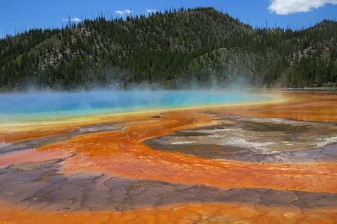 Yellowstone National Park - Full-Day Lower Loop Tour from West Yellowstone - The Bottom Line: Who Is This Tour Best For?