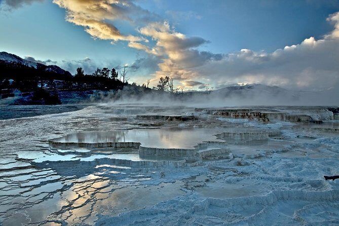 Yellowstone National Park Private Tour - Who Should Consider This Tour?
