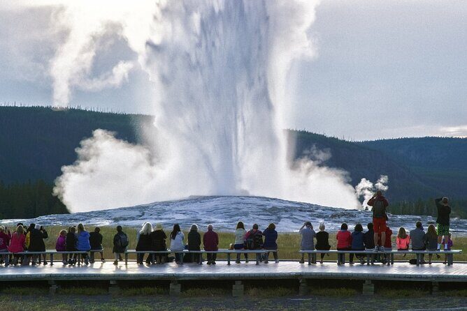 Yellowstone National Park Tour from Jackson Hole - The Sum Up