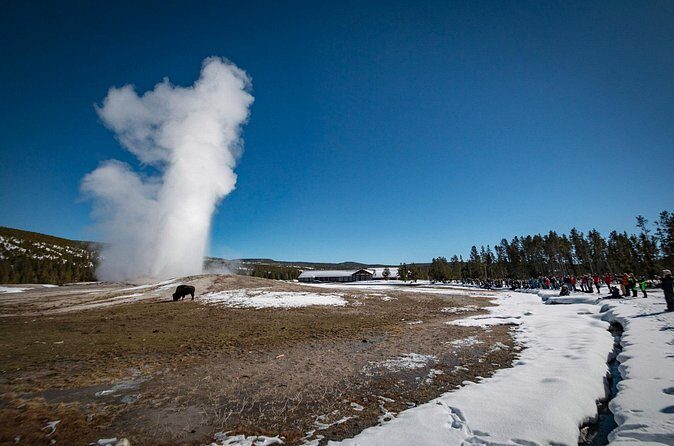 Yellowstone Old Faithful Snowcoach Tour from Jackson Hole - FAQ