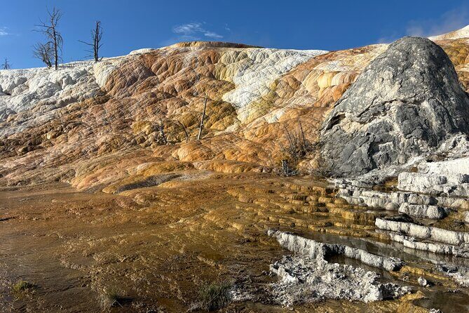 Yellowstone Park Private Day Trip from Big Sky - Full or Half Day - A Closer Look at the Yellowstone Private Day Trip