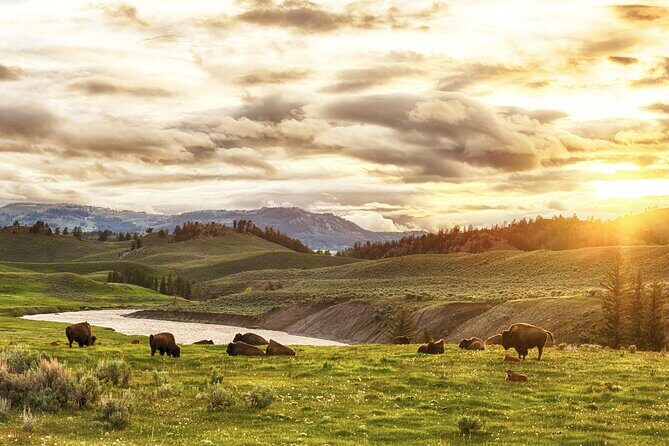 Yellowstone Private Full Day Tour - FAQ