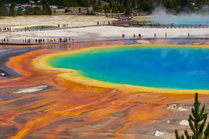 Yellowstone: Private Guided Tour - Key Points