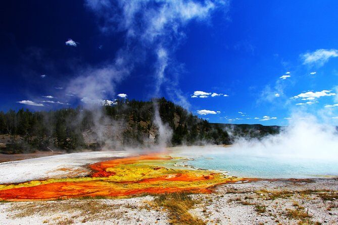 Yellowstone Private Lower Loop Adventure with Lunch - Who Will Love This Tour?