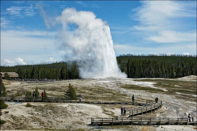 Yellowstone Private Tour Up To 14 - A Surprise Activity Included - The Sum Up