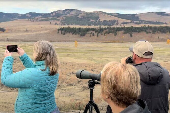 Yellowstone PRIVATE Winter SAFARI and Wolf Watching - Who Is This Tour Perfect For?