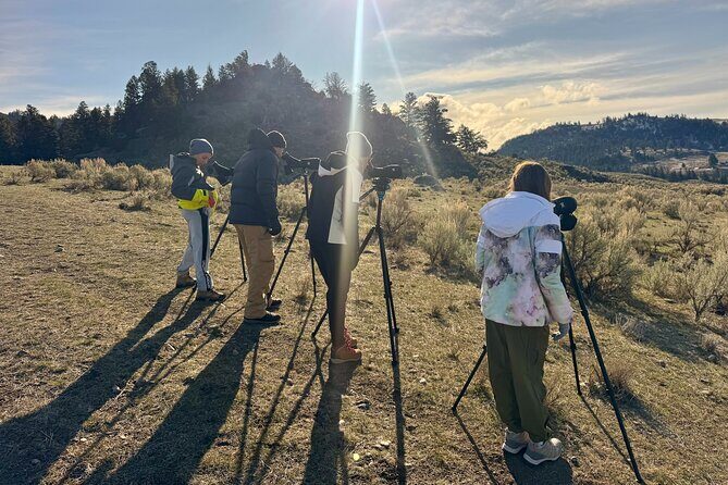Yellowstone Wildlife Safari in Lamar Valley from West Yellowstone - Key Points