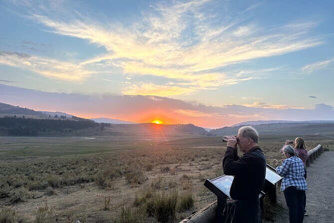 Yellowstone's Lamar Valley & Picnic With Wildlife Guide - Key Points