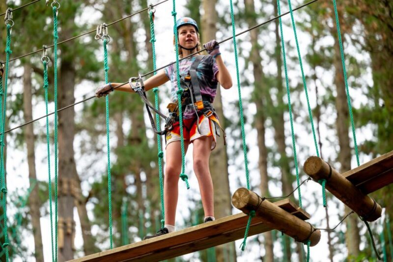 Yeodene: Tree Ropes Courses - The Sum Up