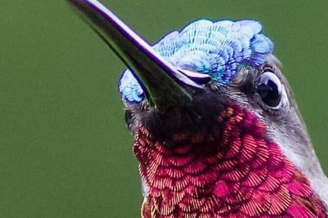 Yerette Home of the Hummingbird - FAQ