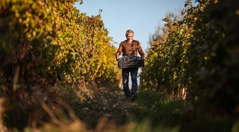 Yerevan: Gevorkian Winery Tour and Tasting Experience - Practical Details and Tips