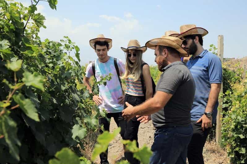 Yerevan: Khor Virap Day Trip with Mount Ararat Wine Tasting - Yerevan: Khor Virap Day Trip with Mount Ararat Wine Tasting — An Authentic Armenian Experience