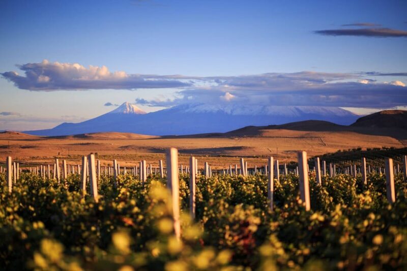 Yerevan: Khor Virap Day Trip with Mount Ararat Wine Tasting - The Sum Up
