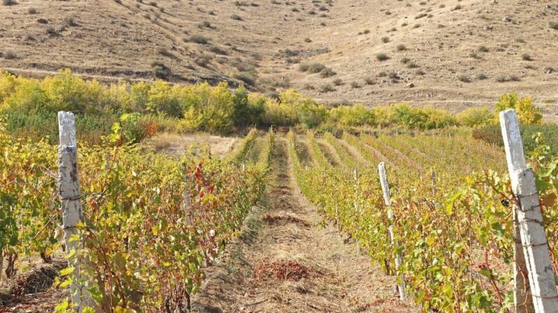 Yerevan: Khor Virap Day Trip with Mount Ararat Wine Tasting - Frequently Asked Questions