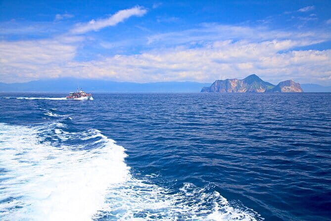 Yilan Whale Watching and Animal Farm Private Tour from Taipei - Key Points