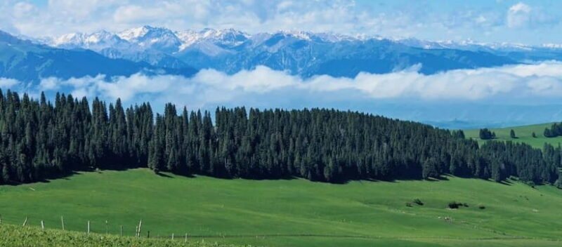 Yining, Xinjiang: 6-Day Kazakh Horseback Crossing Tour - Key Points