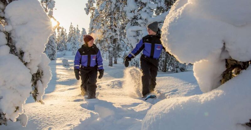 Ylläs: Forest Hike with Snowshoes - The Sum Up