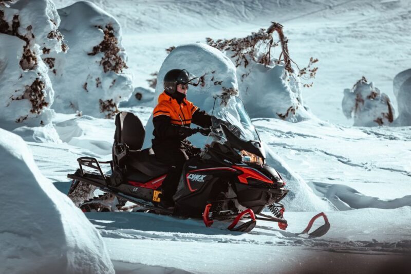 Ylläs: Wilderness Snowmobile Tour - Exploring the Wilderness on Snowmobiles in Ylläs