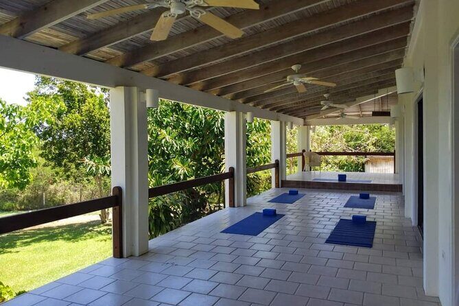 Yoga and Meditation, Group or Private Sessions in Nevis - An In-Depth Look at the Yoga Experience in Nevis