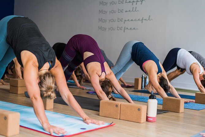Yoga Classes - An In-Depth Look at the Yoga Experience in Corte Madera
