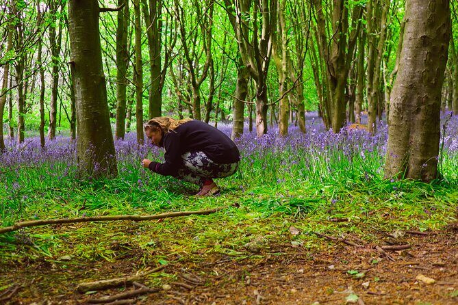 Yoga & Forest Bathing Day Retreat - A Deep Dive into the Experience