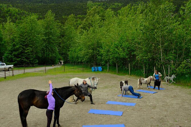 Yoga with Horses - Yoga with Horses: A Gentle Wellness Escape in Skagway