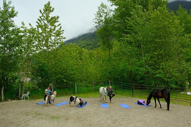 Yoga with Horses - Key Points