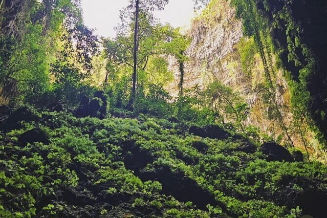 Yogyakarta Jomblang Cave and Pindul Cave Tour - Who Will Love This Tour?