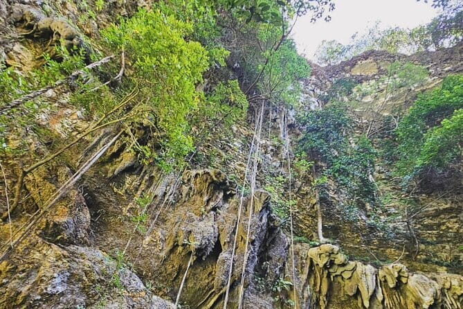 Yogyakarta Jomblang Cave and Pindul Cave Tour - A Deep Dive into the Jomblang and Pindul Cave Tour