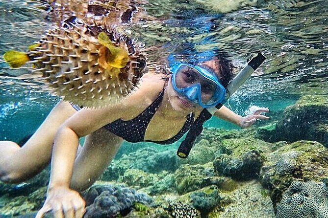 Yogyakarta Nglambor Beach Snorkeling Tour with Private Transport - FAQ