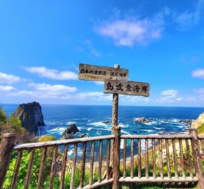 Yoichi Fruit Picking & Shakotan Peninsula Kamui Cape In-Depth Day Tour (Departing from Sapporo) - Is the price good value?