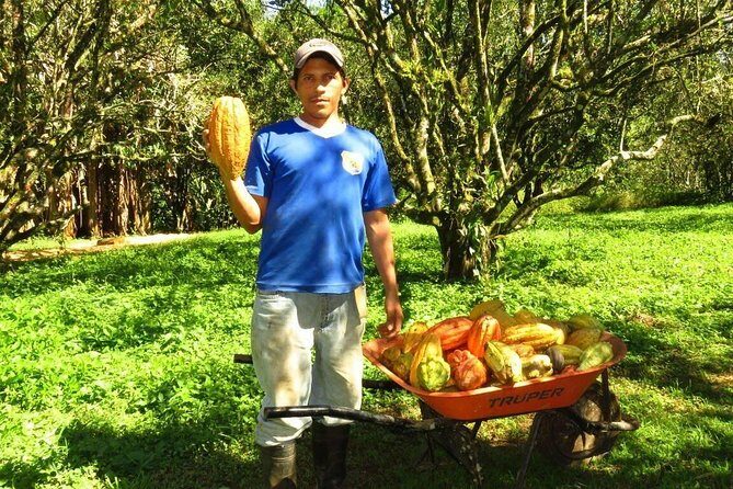 Yojoa Lake Artisan Chocolate Tour - Frequently Asked Questions