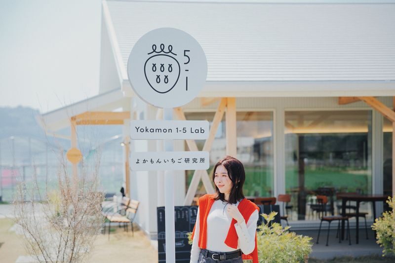 YokaBus Fukuoka Strawberry Picking and Sakura Dyeing Experience - Who will enjoy this day trip most